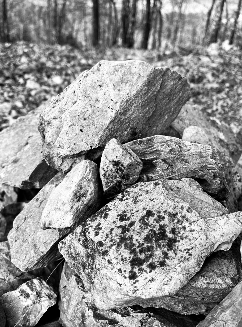 A Rock and a Hard&nbsp;Place