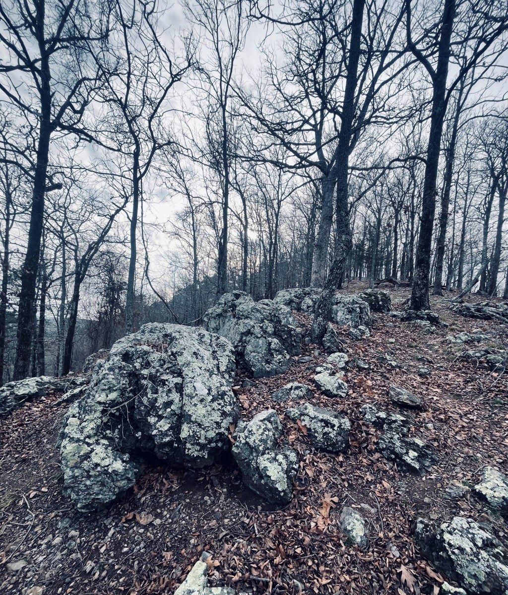 A Prayer of&nbsp;Listening